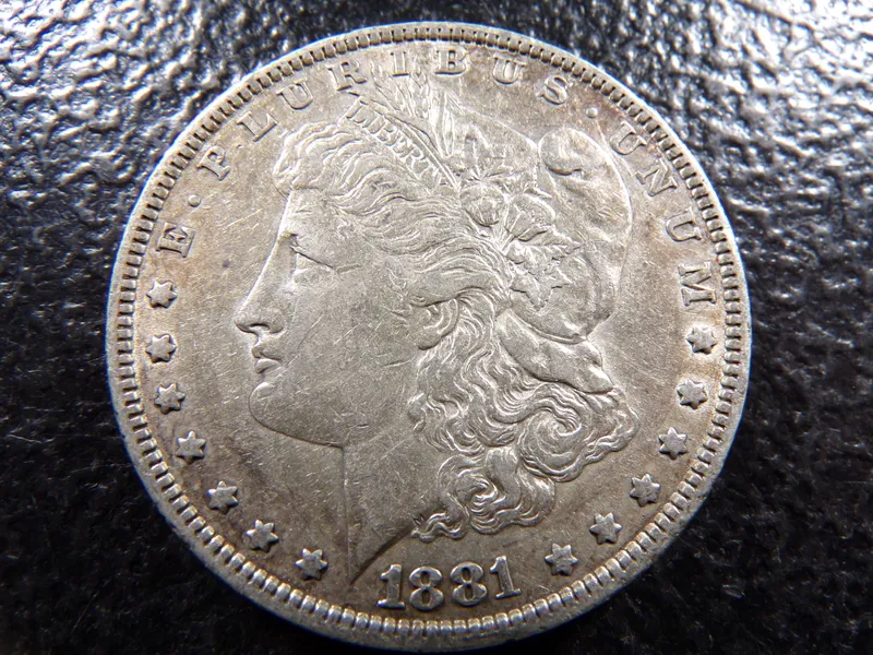 1881 MORGAN SILVER DOLLAR from auction in Englewood, Ohio — image 21