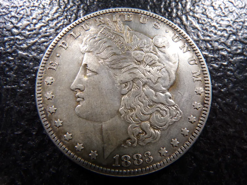 1883 MORGAN SILVER DOLLAR from auction in Englewood, Ohio — image 46