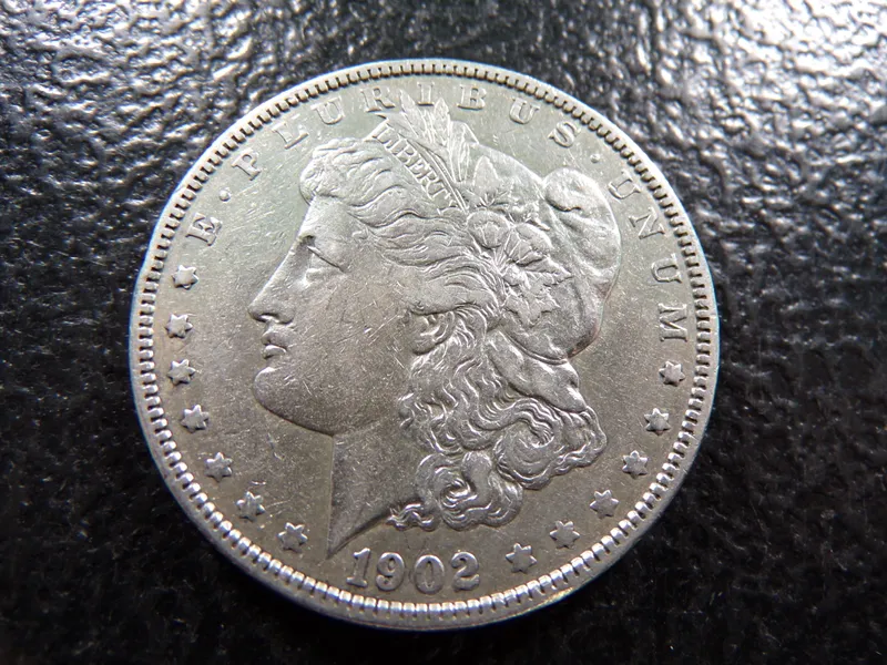 1902 MORGAN SILVER DOLLAR from auction in Englewood, Ohio — image 28