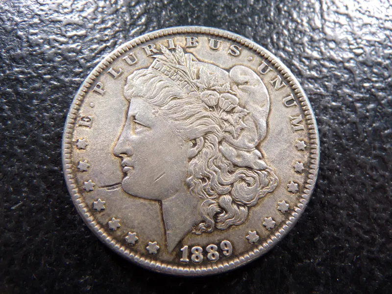 1889 MORGAN SILVER DOLLAR from auction in Englewood, Ohio — image 26