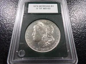1878 8 TAIL FEATHERS HIGH GRADE MORGAN SILVER DOLLAR