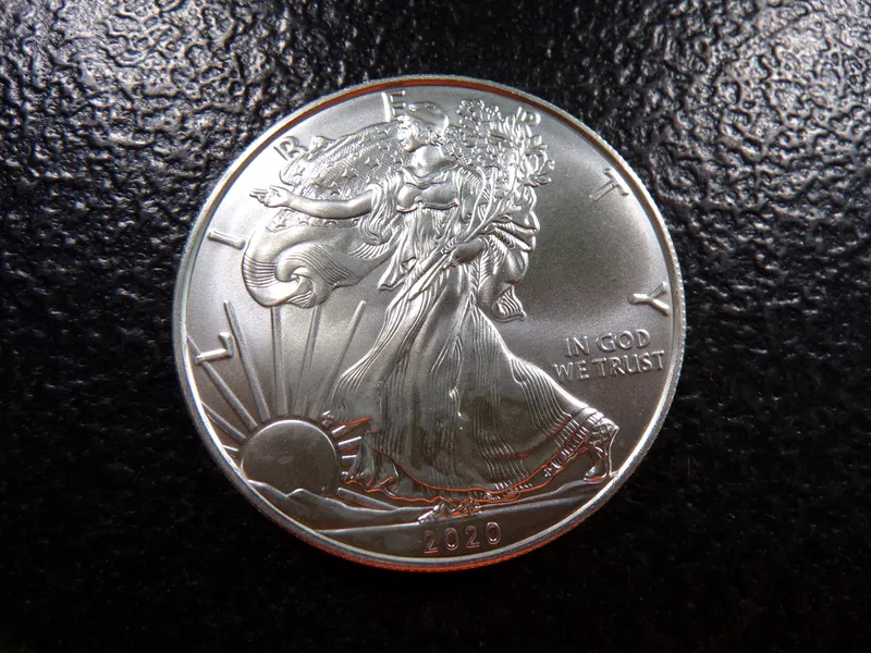 2020 AMERICAN SILVER EAGLE DOLLAR from auction in Englewood, Ohio — image 10