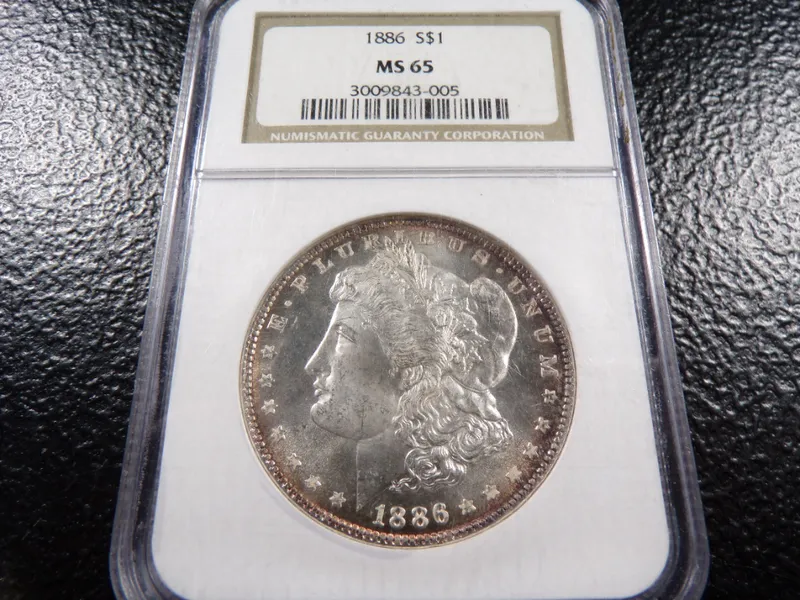 Big Dog Coin Auction — image 1