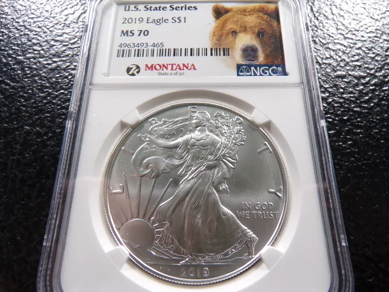 2019 NGC MS70 U.S. STATE SERIES AMERICAN SILVER EAGLE DOLLAR from auction in Englewood, Ohio — image 43
