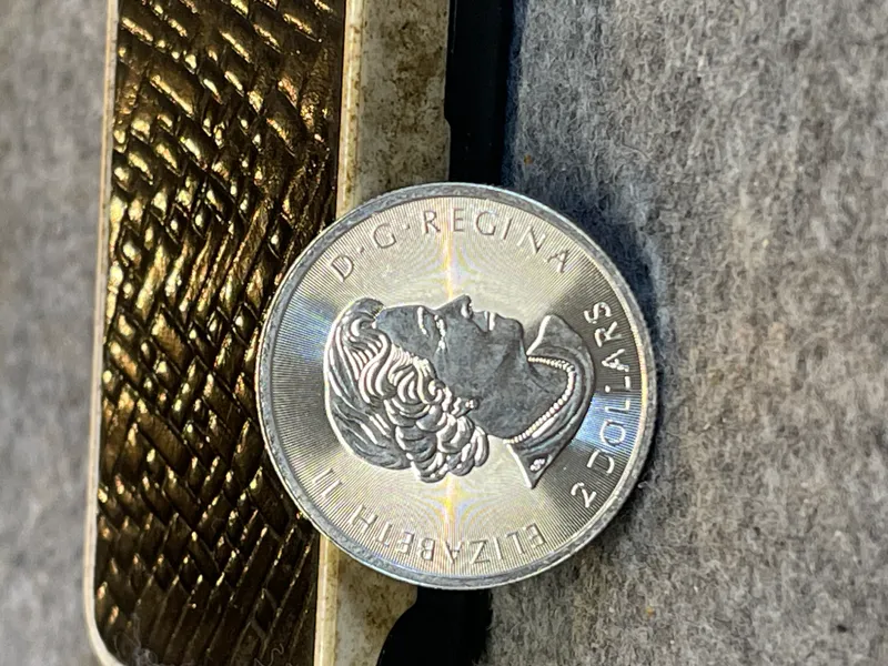 2018 Canada $2 1/2 oz .9999 Fine Silver Polar Bear Bullion Coin from auction in Brewton, Alabama — image 6
