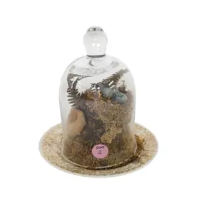 Blown Glass Cloche Dome Centerpiece