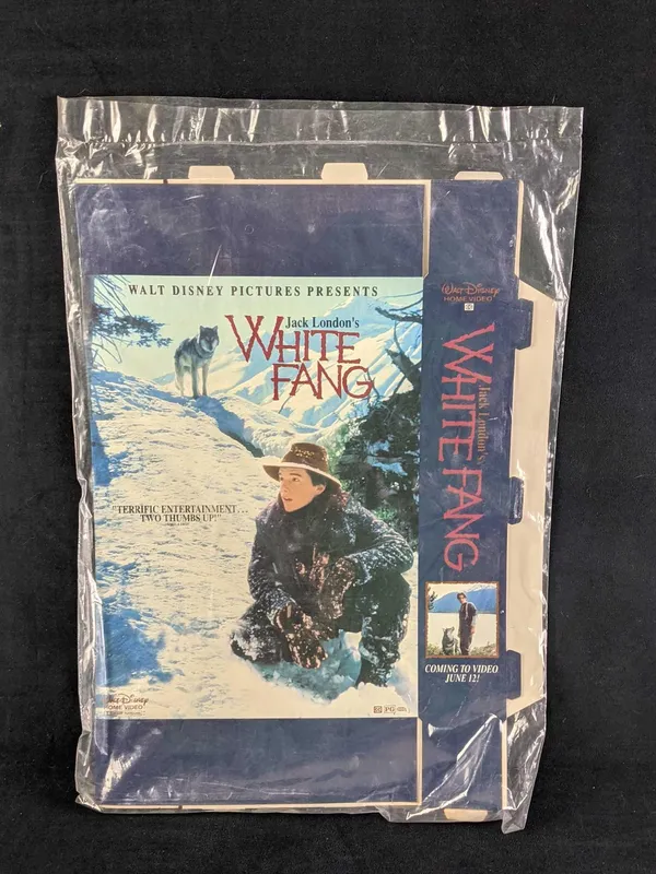 Video Store Box Display Disney White Fang Movie from auction in Orlando, Florida — image 42