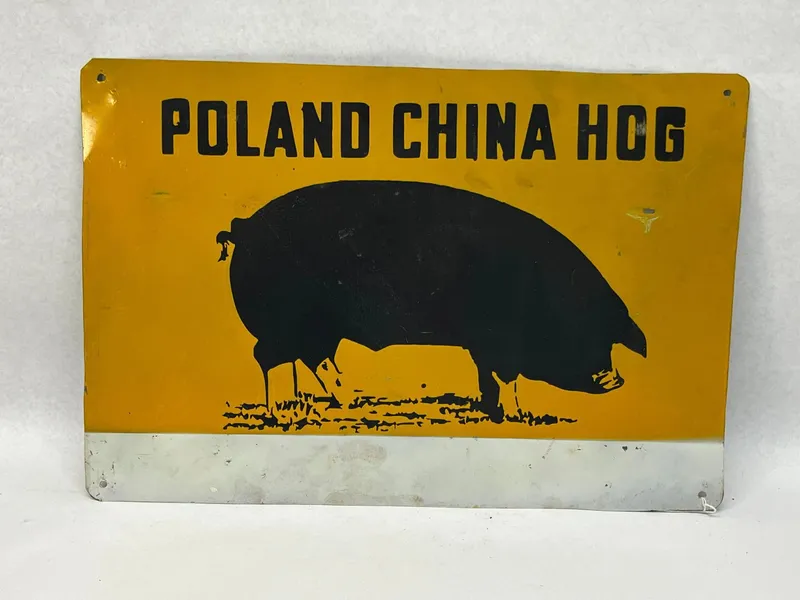 Poland China Hog Painted Metal Sign from auction in Dundee, Ohio — image 4