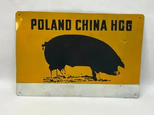 Poland China Hog Painted Metal Sign