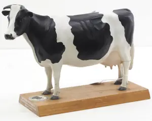 Holstein cow model