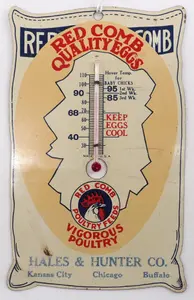 Red Comb Quality Eggs dealer thermometer