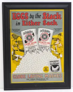 Globe Laying Mashes paper advertisement