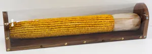 Oversized homemade ear of corn