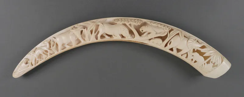 African Scene Hand Carved Ivory Elephant Tusk from auction in Clearwater, Florida — image 37