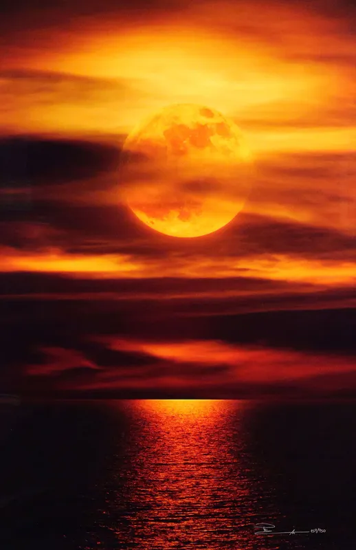 PETER LIK, Photography, Moonlight Reflections from auction in Clearwater, Florida — image 4