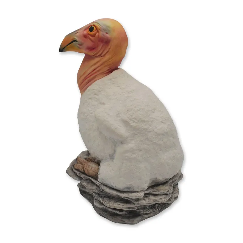 Boehm Porcelain California Condor Chick Sculpture, Rare, 1986 from auction in Hollywood, Florida — image 10