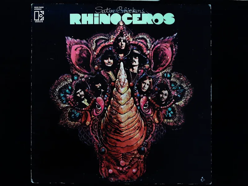 Rhinoceros Satin Chickens Vinyl LP Elektra Records EKS-74056 from auction in Hollywood, Florida — image 17