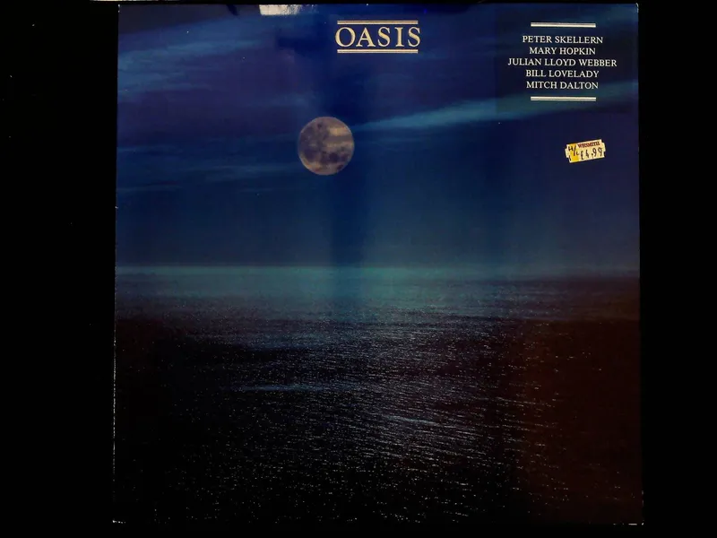 Oasis LP Album featuring Peter Skellern Mary Hopkin and Julian Lloyd Webber 1984 WEA Records from auction in Hollywood, Florida — image 41