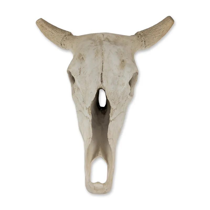 Faux Taxidermy Weathered Bison Skull Wall Decor " Rustic Resin Buffalo Mount from auction in Hollywood, Florida — image 2