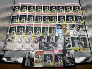 (40+) Assorted Modern Roberto Clemente Baseball Insert Cards