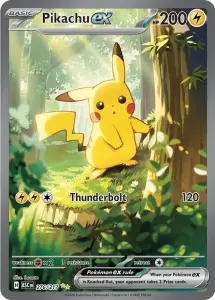 Summer Vault | Cards, Gold & Collectibles — image 1