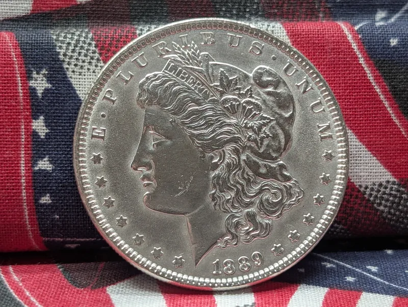 1889 US Morgan Dollar, 90% Silver - 26.73g from auction in Greenville, Ohio — image 35