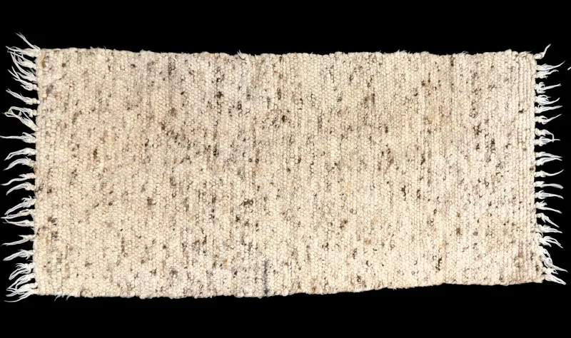Hand Woven Ivory and Charcoal Wool Rug from auction in York, Pennsylvania — image 48