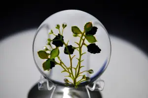 Roger G. Jacobsen Paperweights: Part 1 — image 1