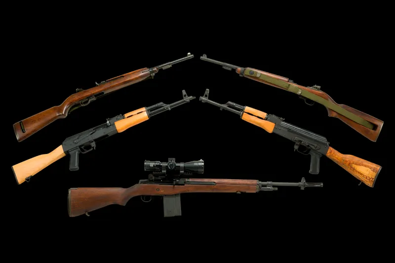 Firearms Auction — image 1