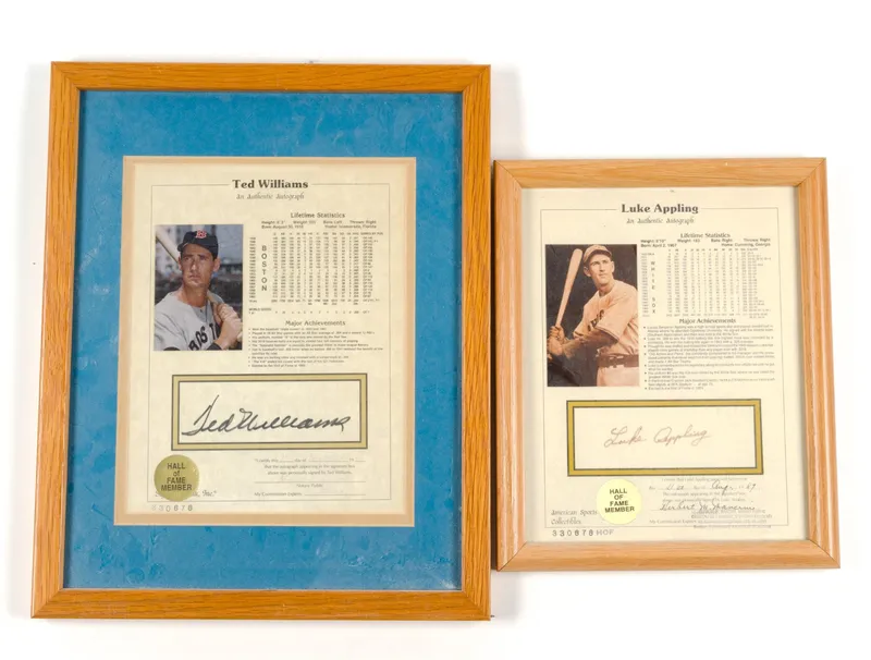 Notarized Autographs Ted Williams & Luke Appling from auction in Harrisburg, Pennsylvania — image 48
