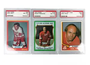 Big League Baseball Card Auction II – Stefek’s Auctioneers & Appraisers
