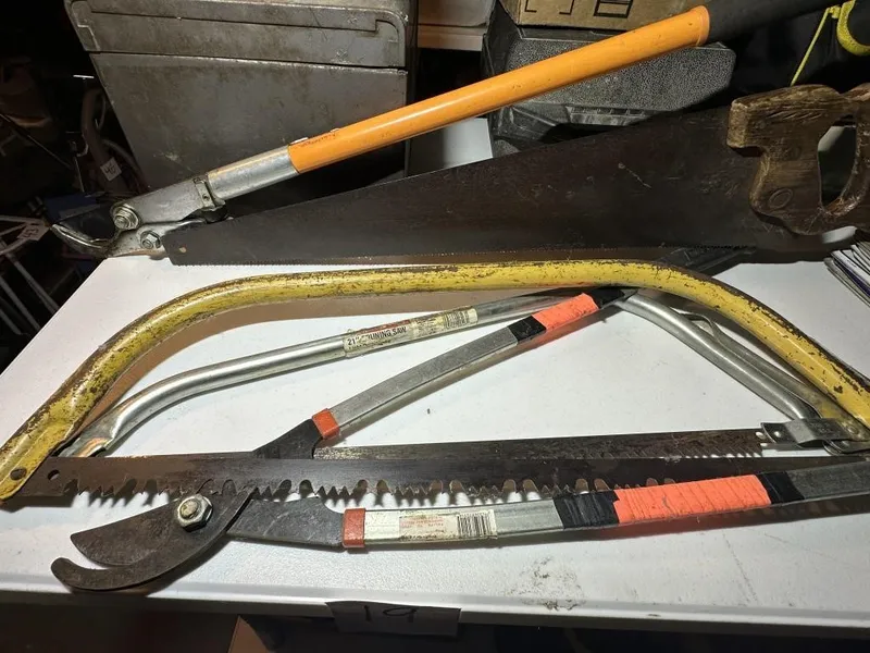 Saws and Lopers from auction in Clifford , Pennsylvania — image 18