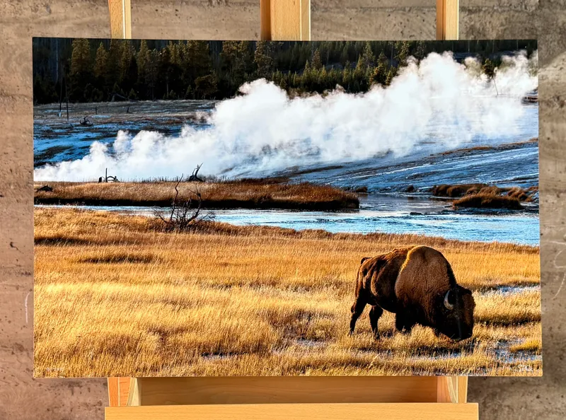 SCOTT RUBEY, "AGES PAST, YELLOWSTONE NATIONAL PARK, WYOMING" from auction in Salem, Oregon — image 32