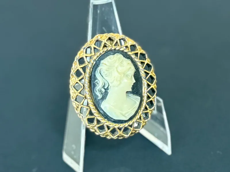 BLACK & WHITE CAMEO BROOCH from auction in Salem, Oregon — image 35