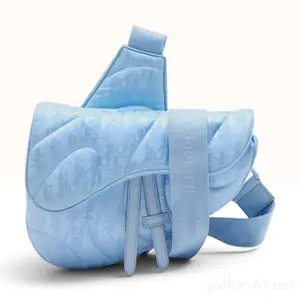 Dior x ERL California Blue Oblique Mirage Quilted Technical Fabric Saddle Bag