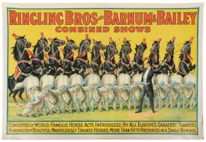 Auction — image 1