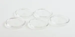 FIVE STEUBEN ETCHED GLASS DISHES