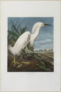 Arader Galleries October 3, 2026 Auction — image 1
