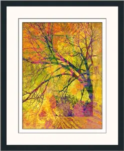 Original & Signed Contemporary Art – Long Island Silent Auction