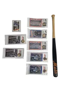 Chapter 3: Mid Fall Sports and Memorabilia – Fabyle