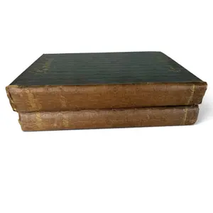 1894 Emile Michel Rembrandt Two-Volume Set