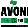 Consignment Auction (Session 1 and Only) — image 1