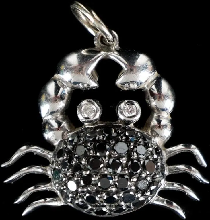 14K WHITE GOLD LADIES CRAB PENDANT W/ MOISSANITE from auction in Tallahassee, Florida — image 29