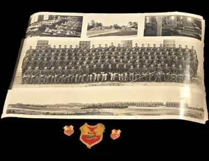 RARE ETO: 474th AAA AW Bn Insignia Group, DI Pair