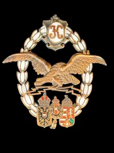 WWI Austro-Hungarian Pilot Badge, Karl I, BSW