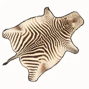 Zebra Skin Rug 9'x5'10"