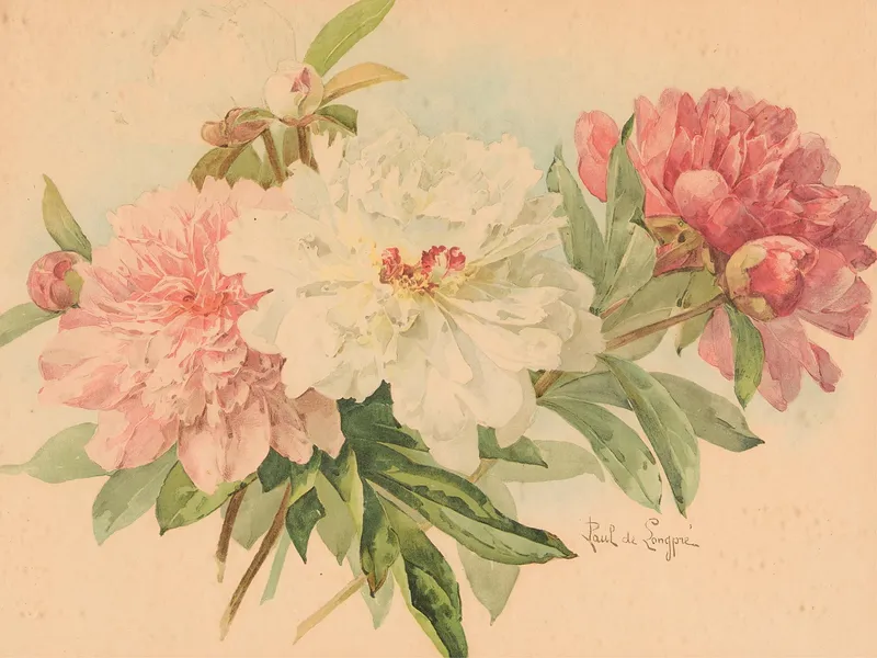Paul de Longpres Peony Watercolor Painting from auction in Saint Paul, Minnesota — image 12