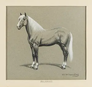 W.J. Wilwerding "Palomino" Charcoal Drawing