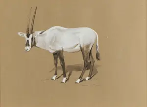 Donna Westerman "Arabian Oryx" Painting