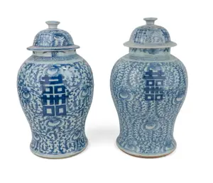 Two Similar Chinese Blue and White Porcelain Ginger Jars